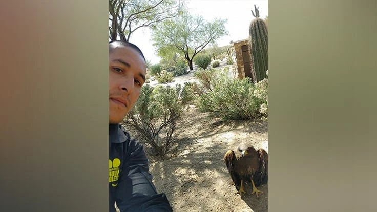 Steven Gonzales, pest control technician, Truly Nolen, takes a selfie with the Harris's Hawk he rescued from a client's pool.