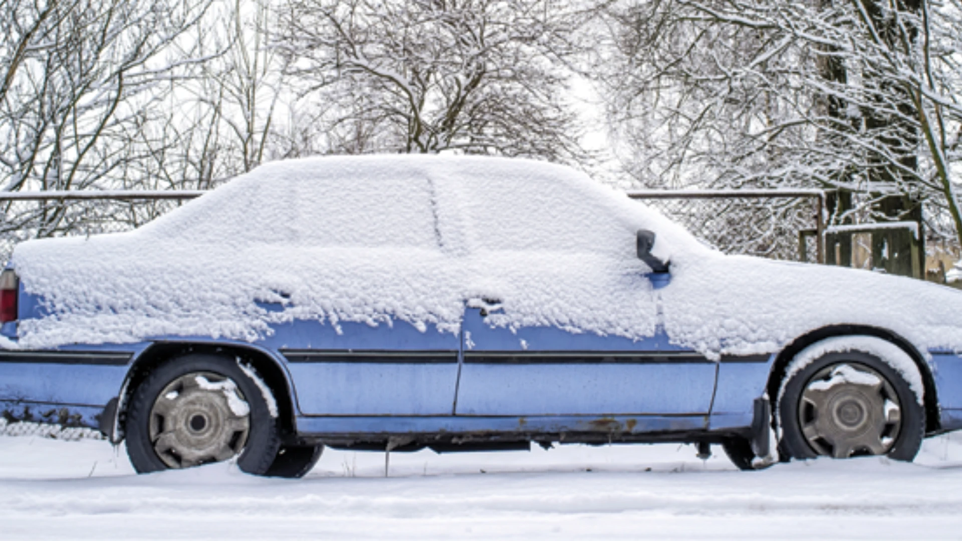 Preventing Winter Rodent Damage to Parked Vehicles