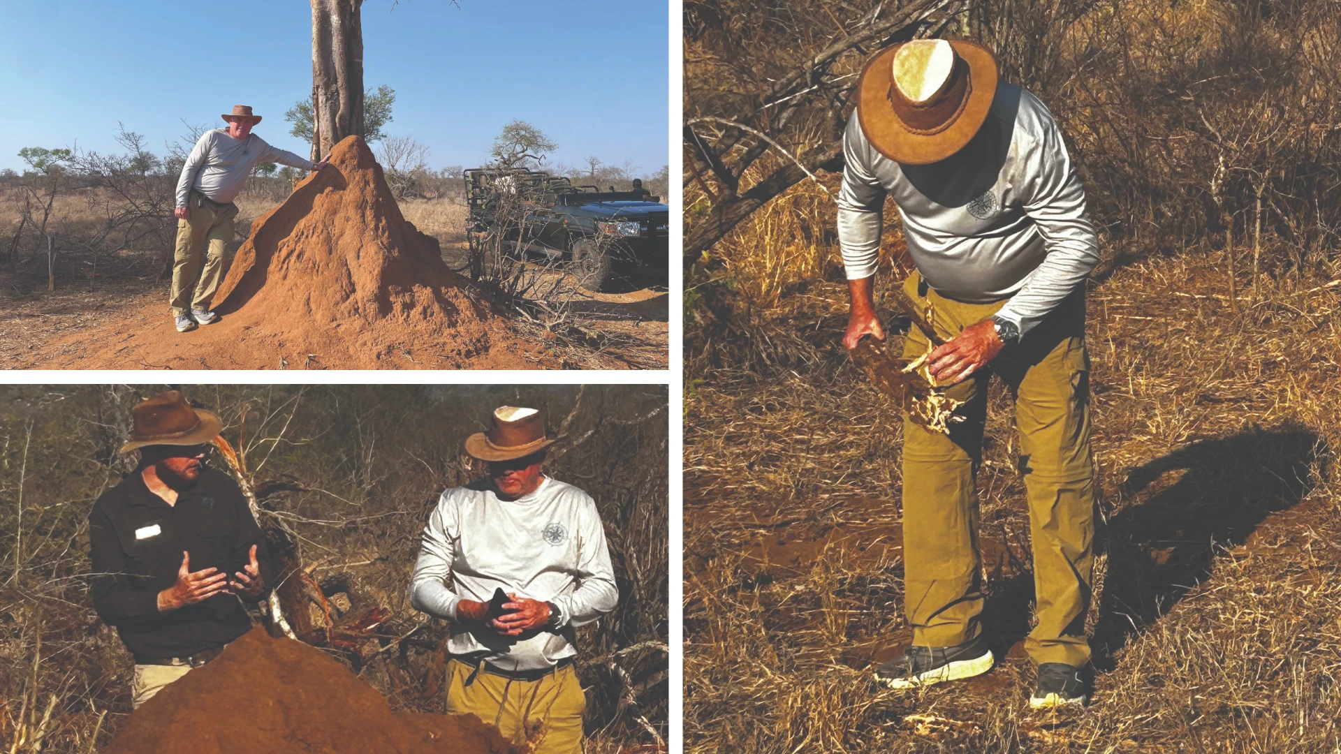 Termite Mounds on Recent African Safari