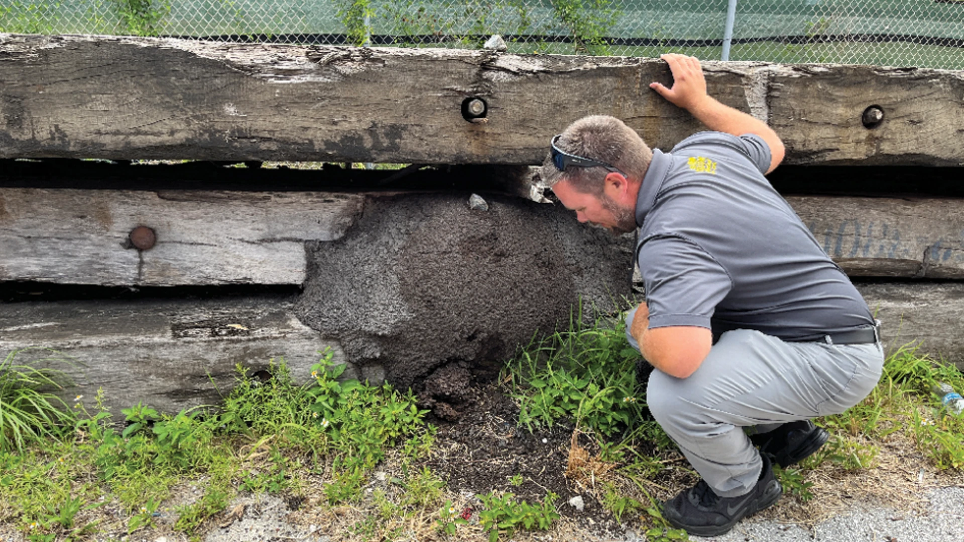 Termite Threat Halted